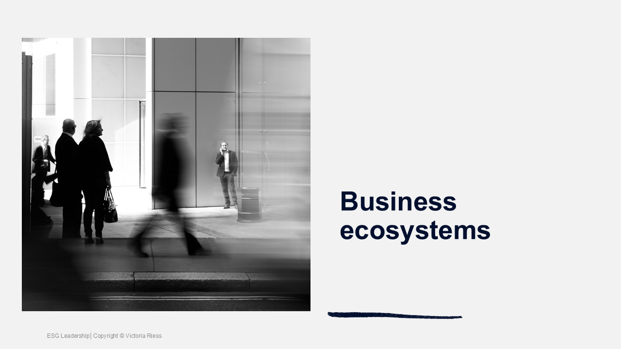 esg-leadership-business-ecosystems