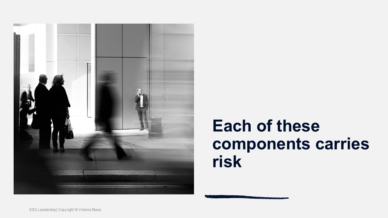 esg-leadership-each-of-these-components-carries-risk