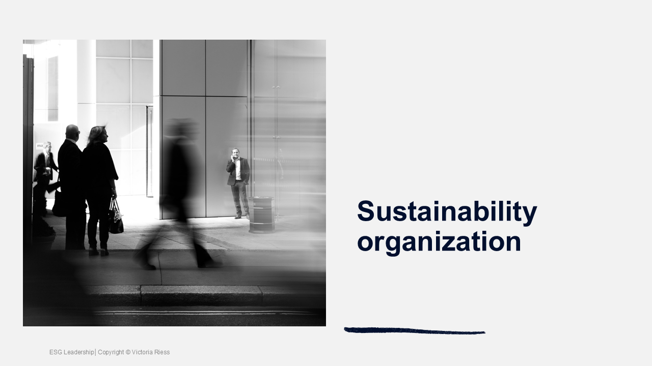 esg-leadership-sustainability-organization