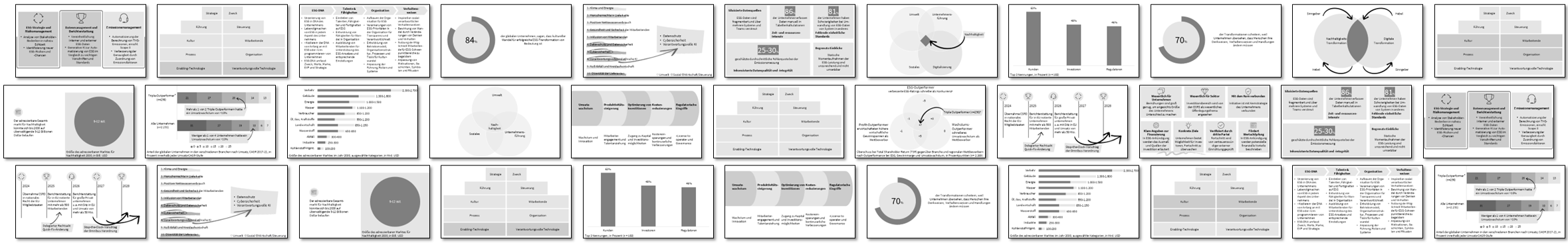 victoria-riess-esg-leadership-canvas-library victoria-riess-esg-leadership-canvas-library