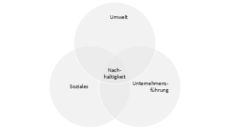 victoria-riess-esg-leadership-esg-als-framework victoria-riess-esg-leadership-esg-als-framework