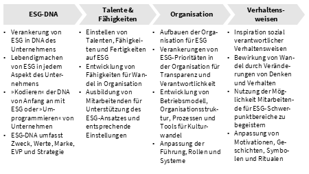 victoria-riess-esg-leadership-esg-strategie-durch-kultur-staerken