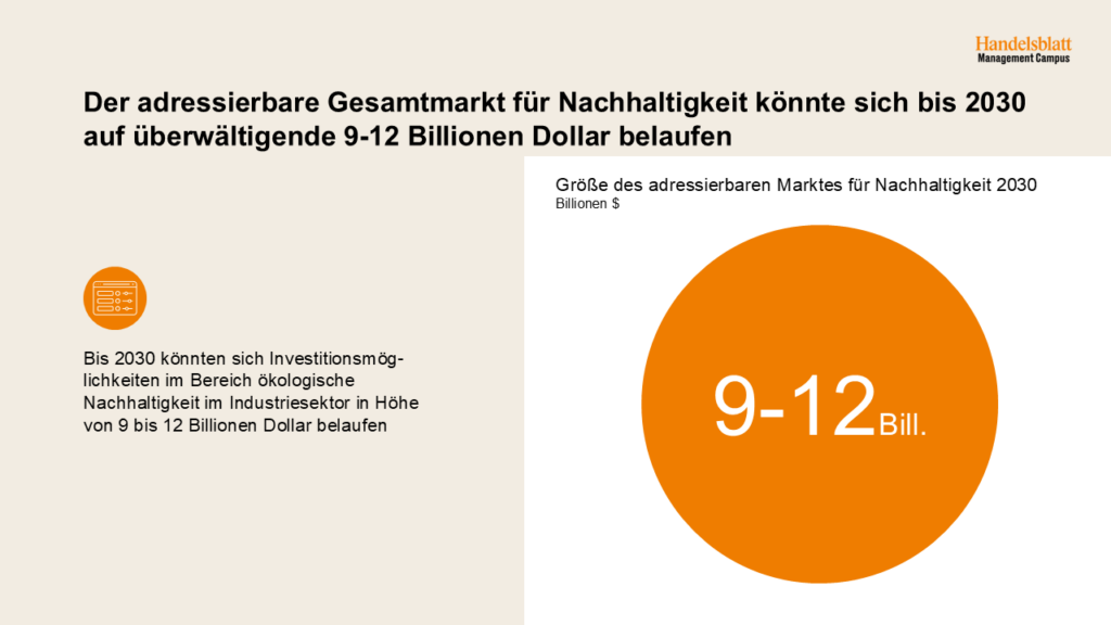 victoria-riess-esg-leadership-adressierbarer-gesamtmart-nachhaltigkeit